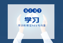 Bert 学习 OpenAI 句向量