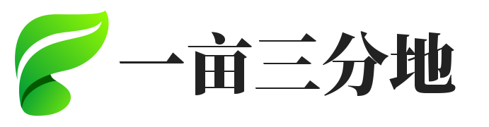 一亩三分地