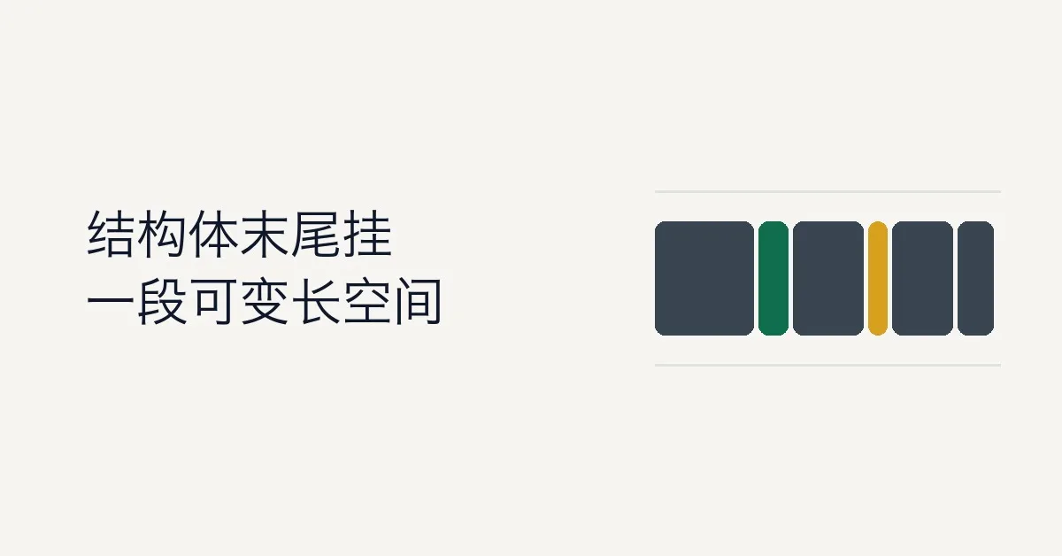 struct 的可伸缩数组成员